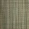 t13blt006-autumn fern